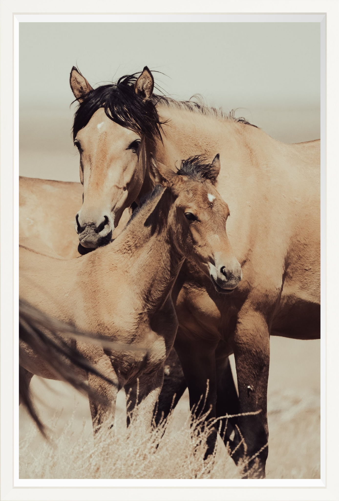 24"x36" / White / Full Bleed
