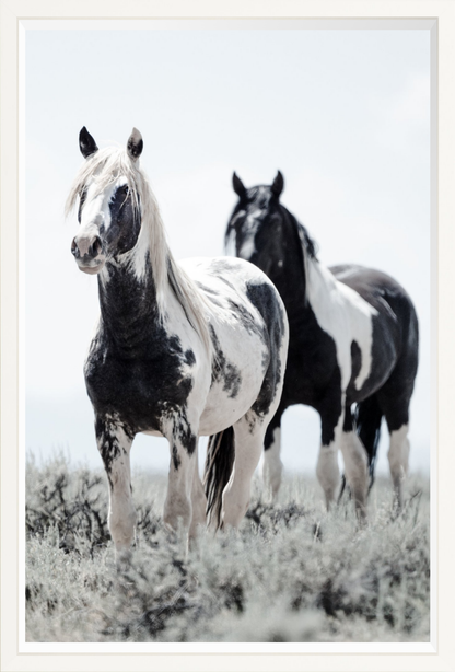 24"x36" / White / Full Bleed