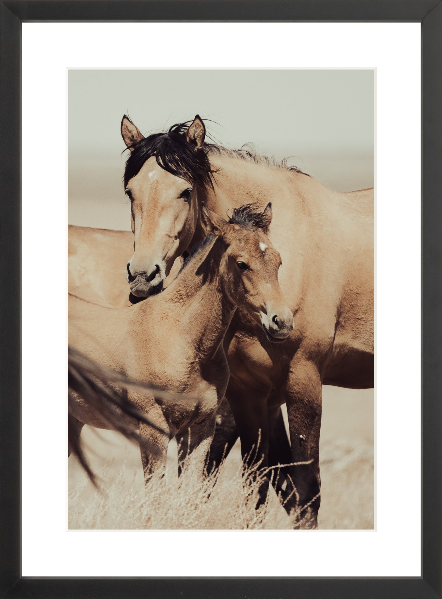 12"x18" / Black / Border