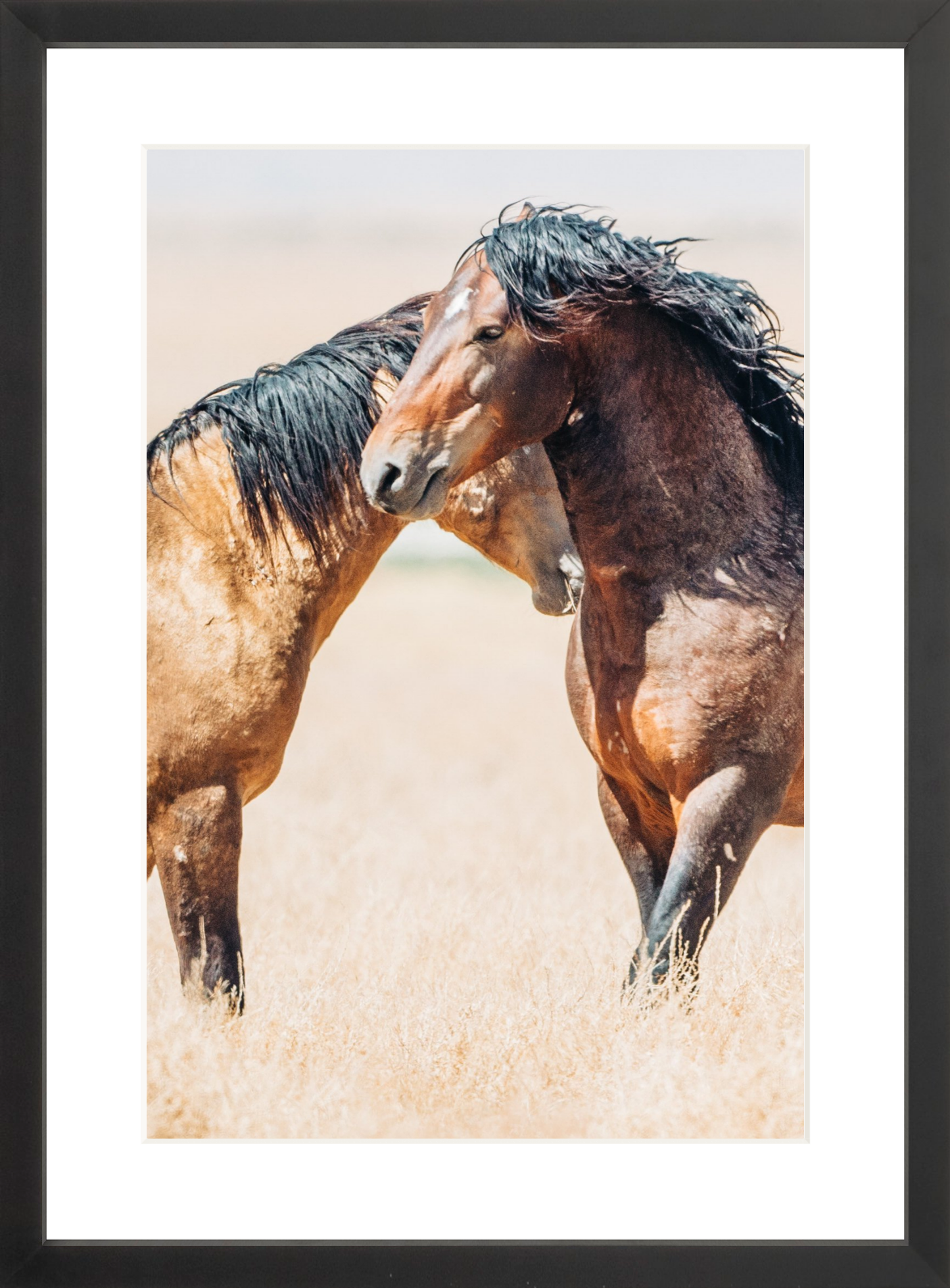 12"x18" / Black / Border