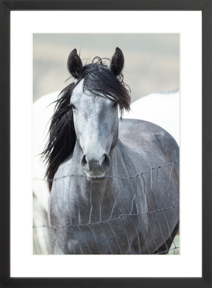 12"x18" / Black / Border