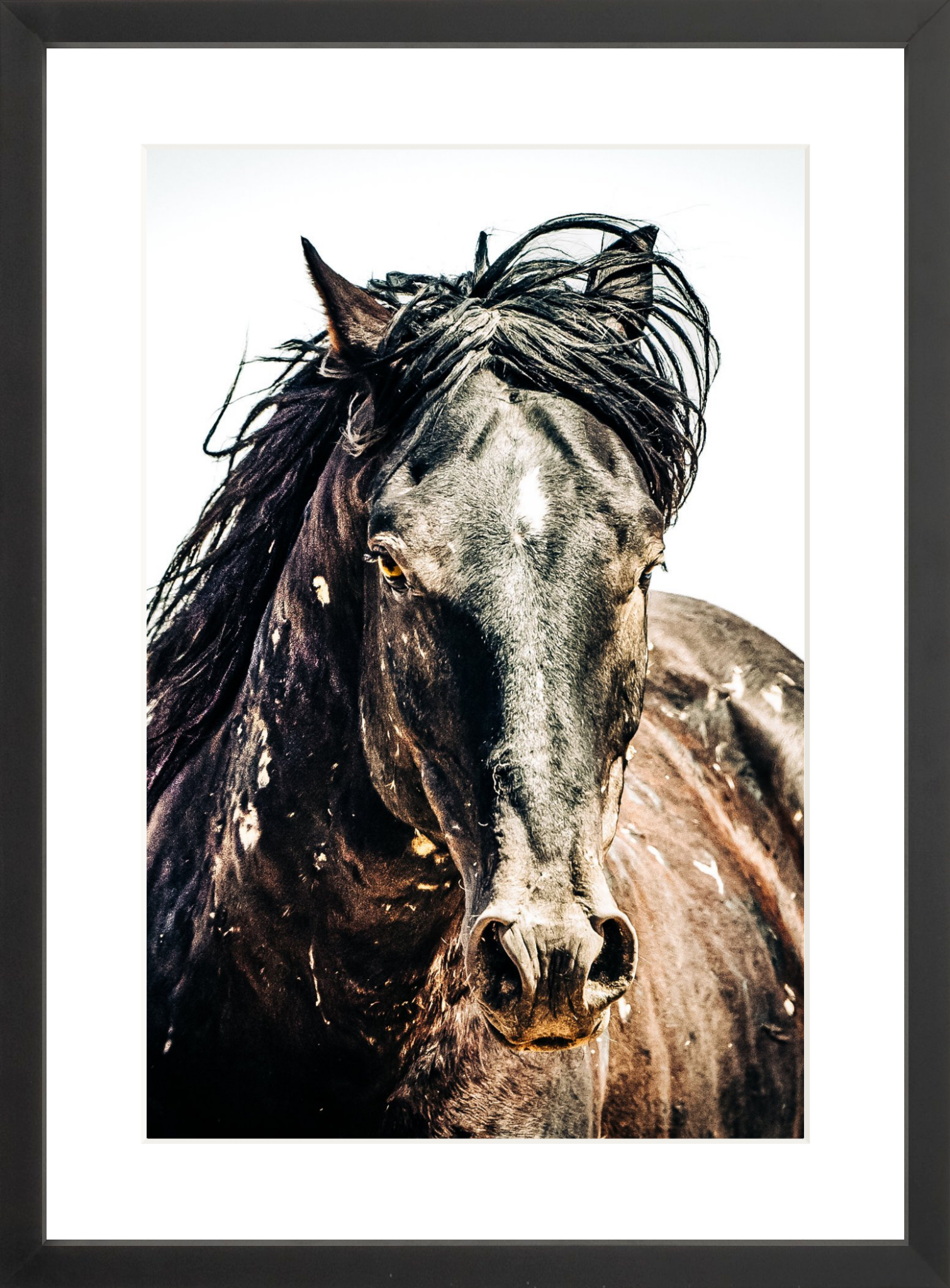 12"x18" / Black / Border