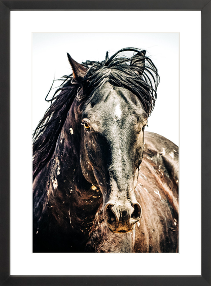 12"x18" / Black / Border