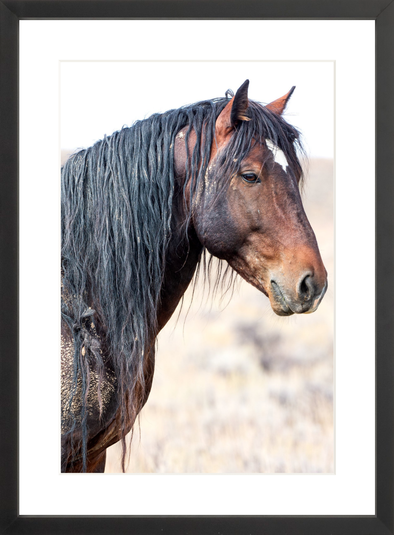 12"x18" / Black / Border