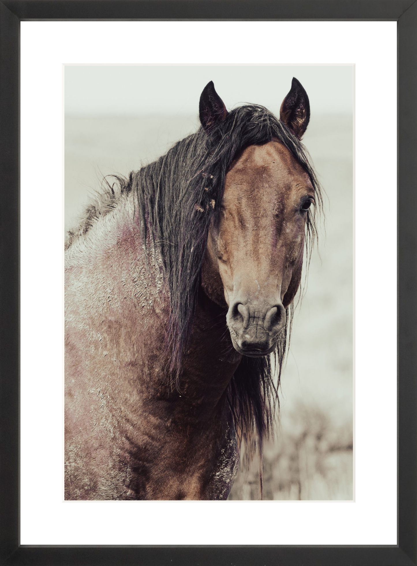 12"x18" / Black / Border