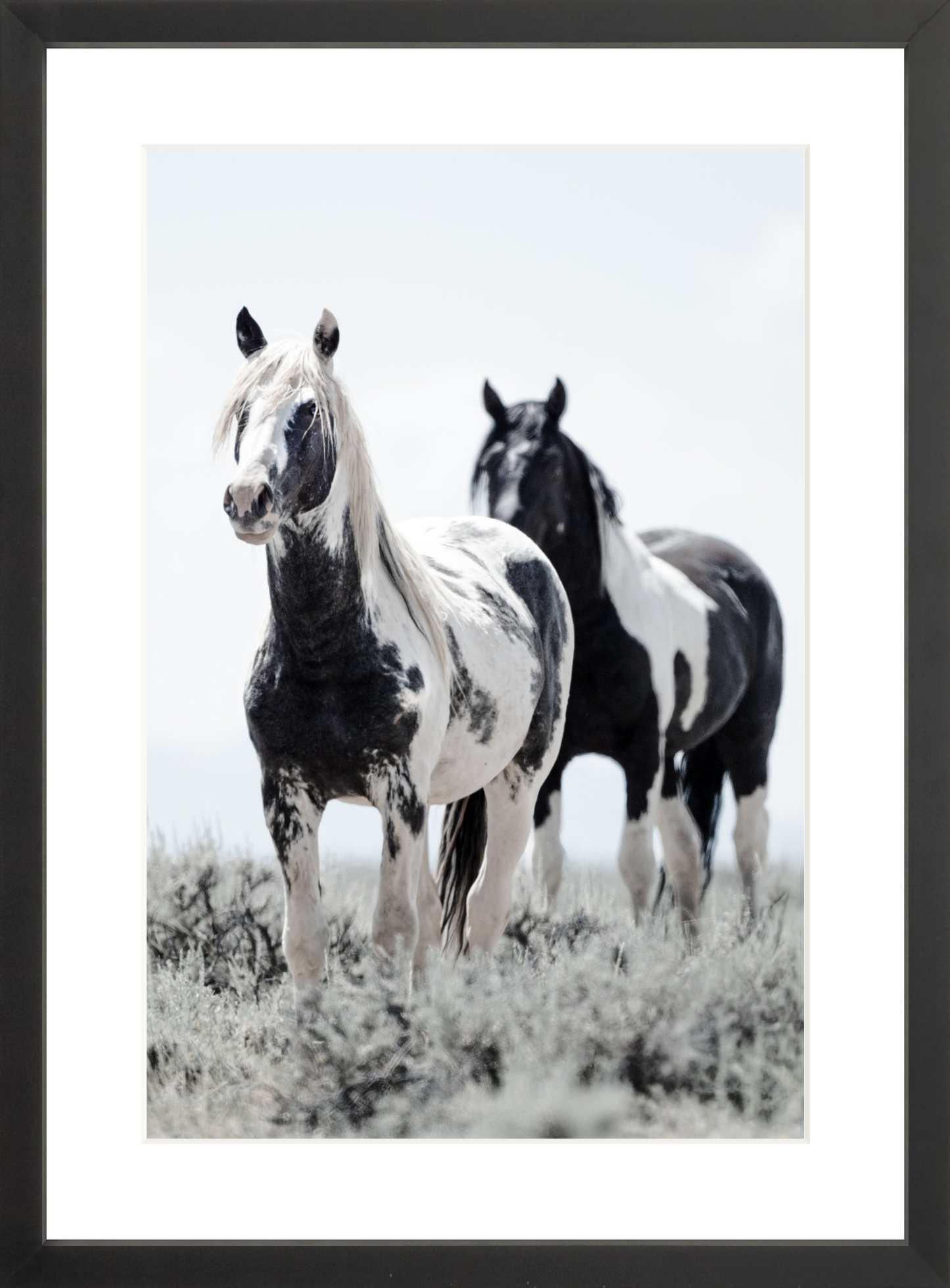 12"x18" / Black / Border