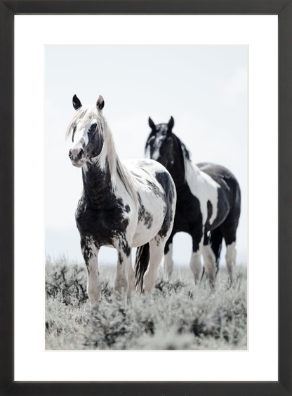 12"x18" / Black / Border