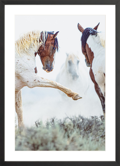16"x24" / Black / Border