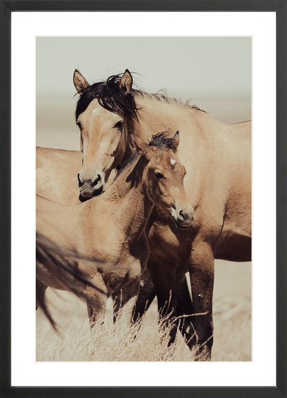 16"x24" / Black / Border