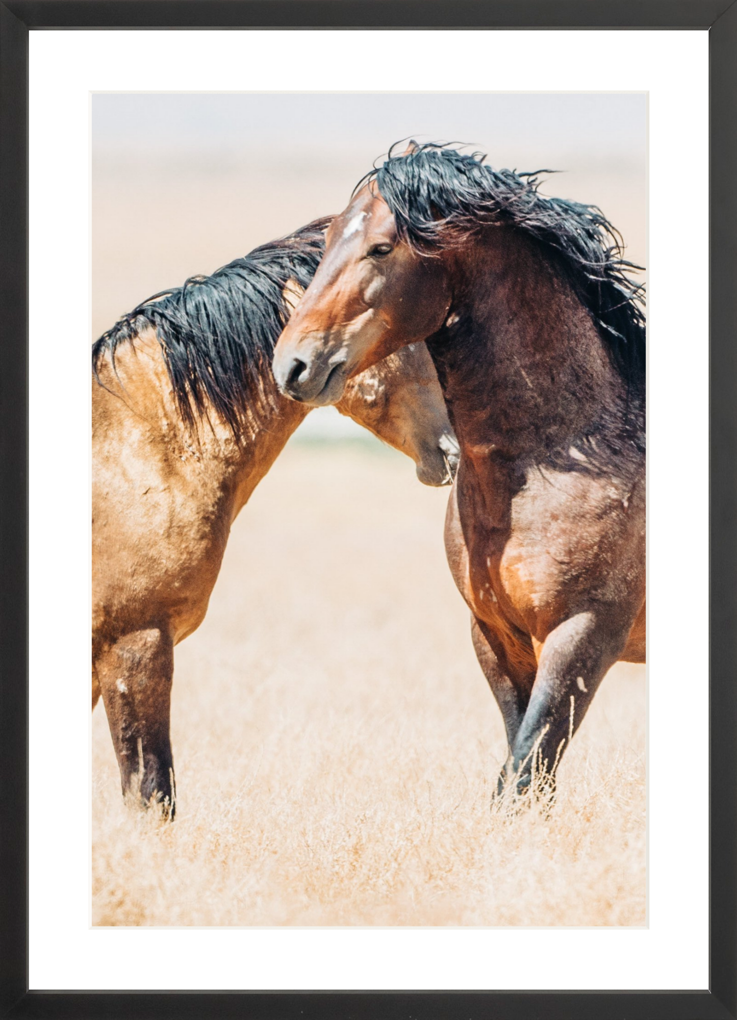16"x24" / Black / Border
