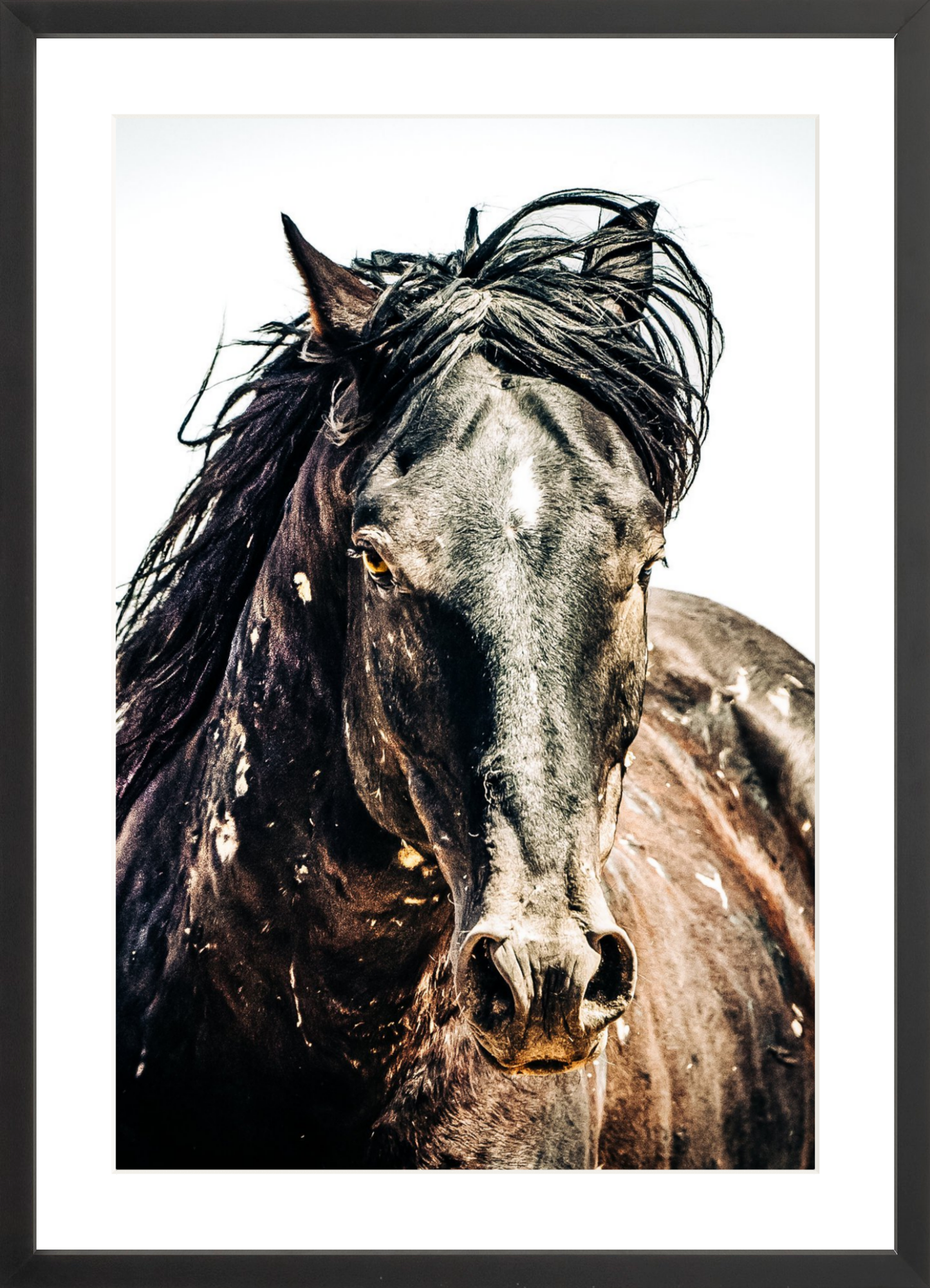 16"x24" / Black / Border