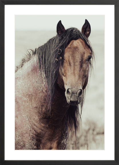 16"x24" / Black / Border