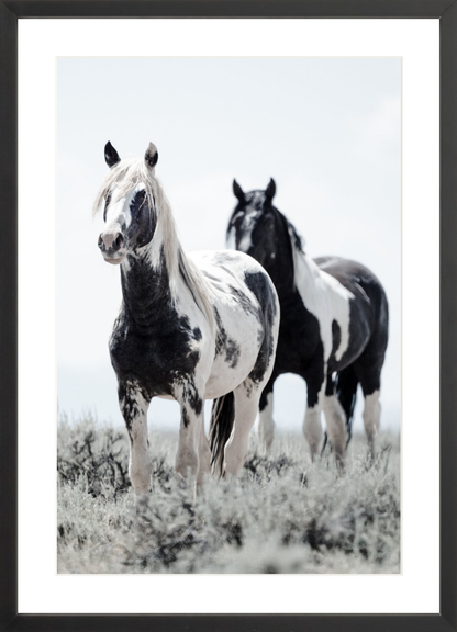 16"x24" / Black / Border