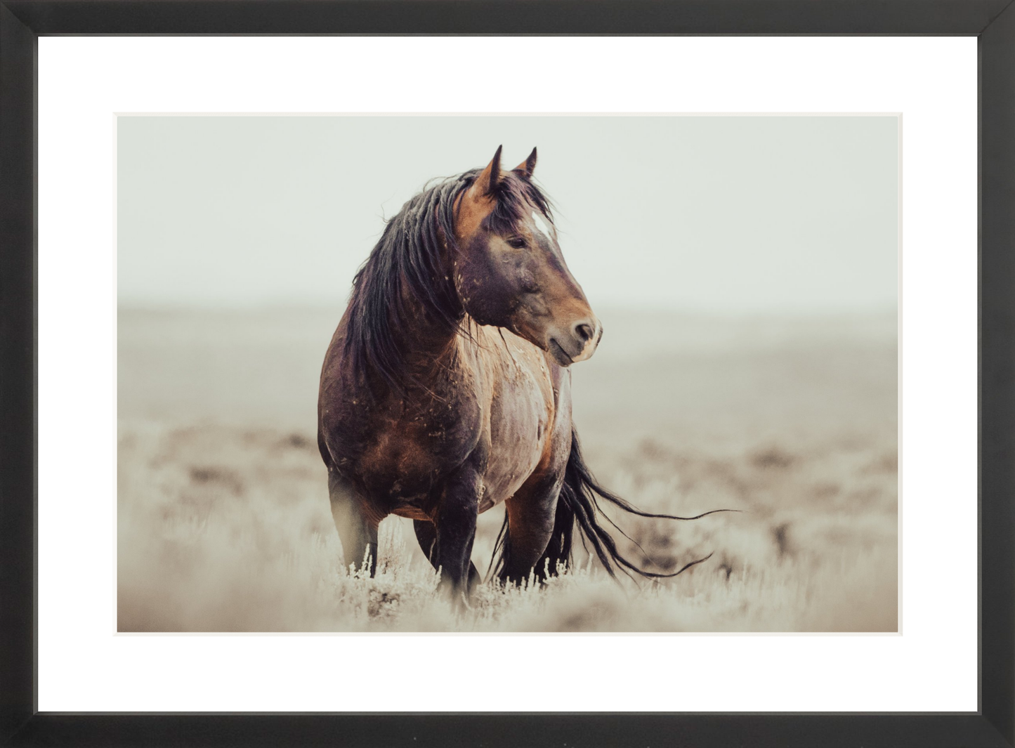 18"x12" / Black / Border