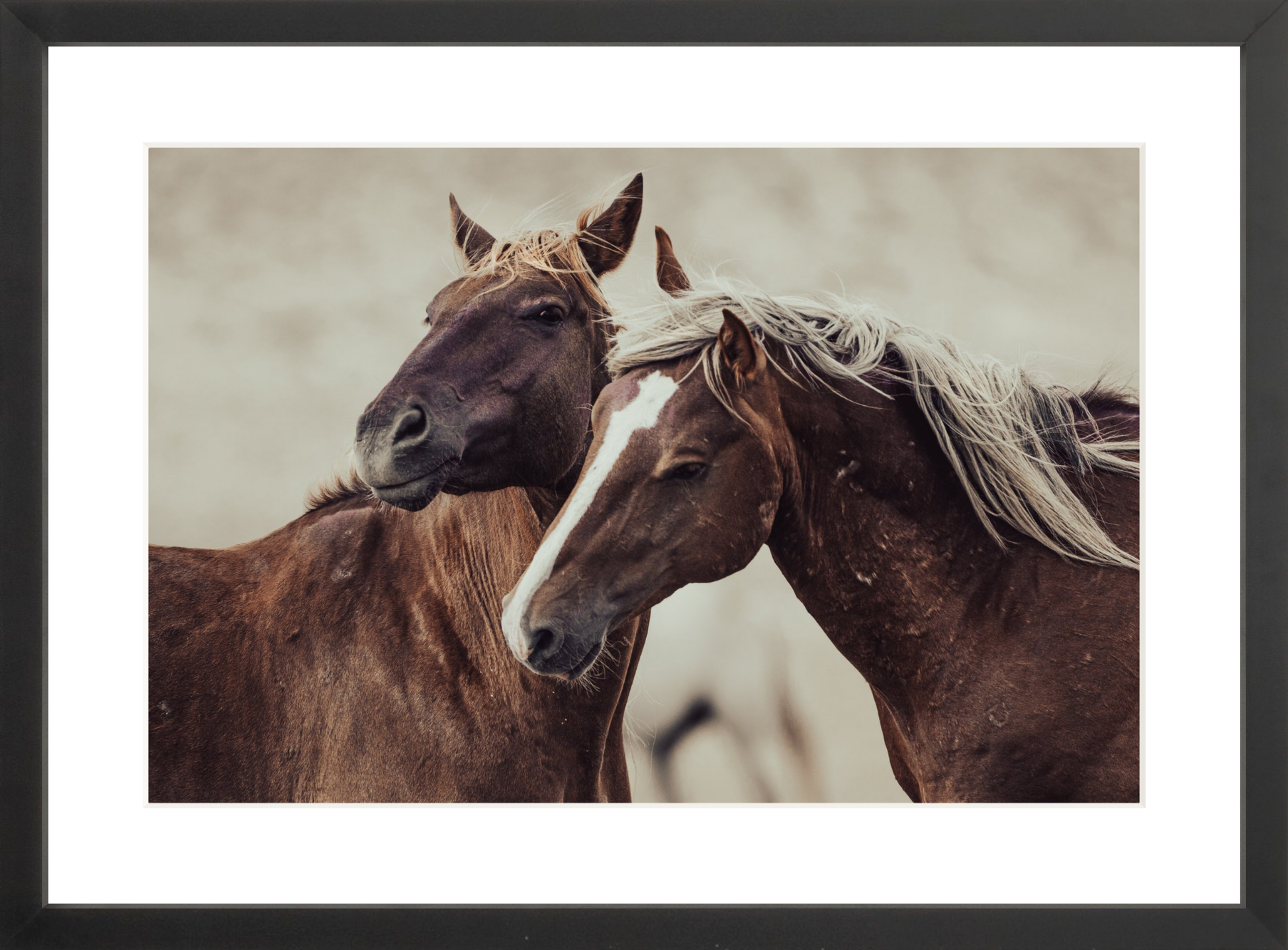 18"x12" / Black / Border