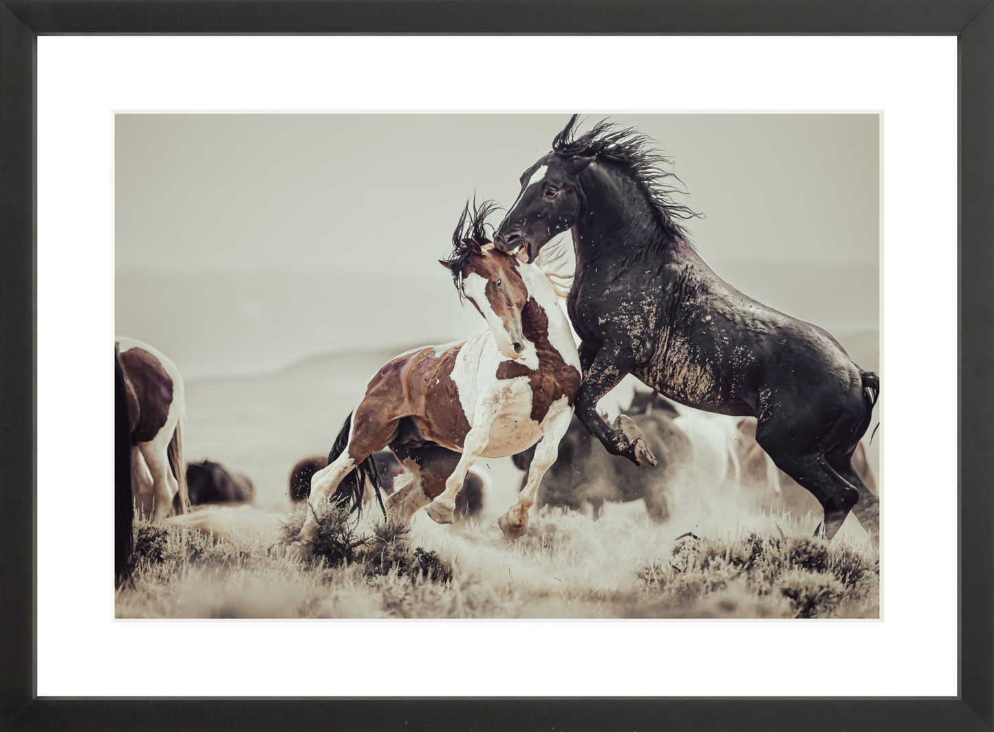 18"x12" / Black / Border