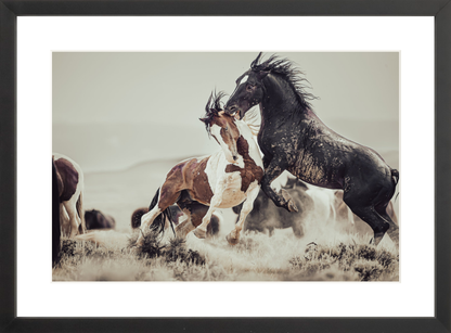 18"x12" / Black / Border