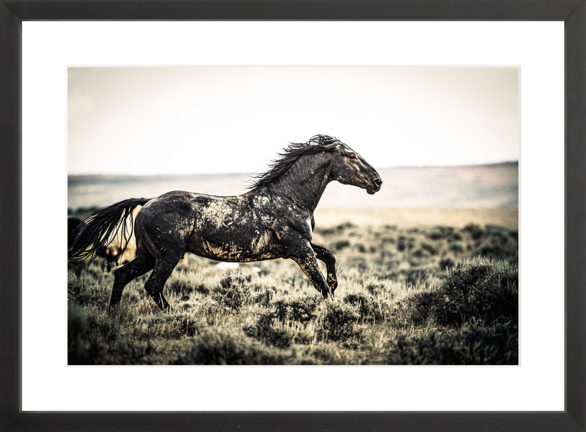18"x12" / Black / Border
