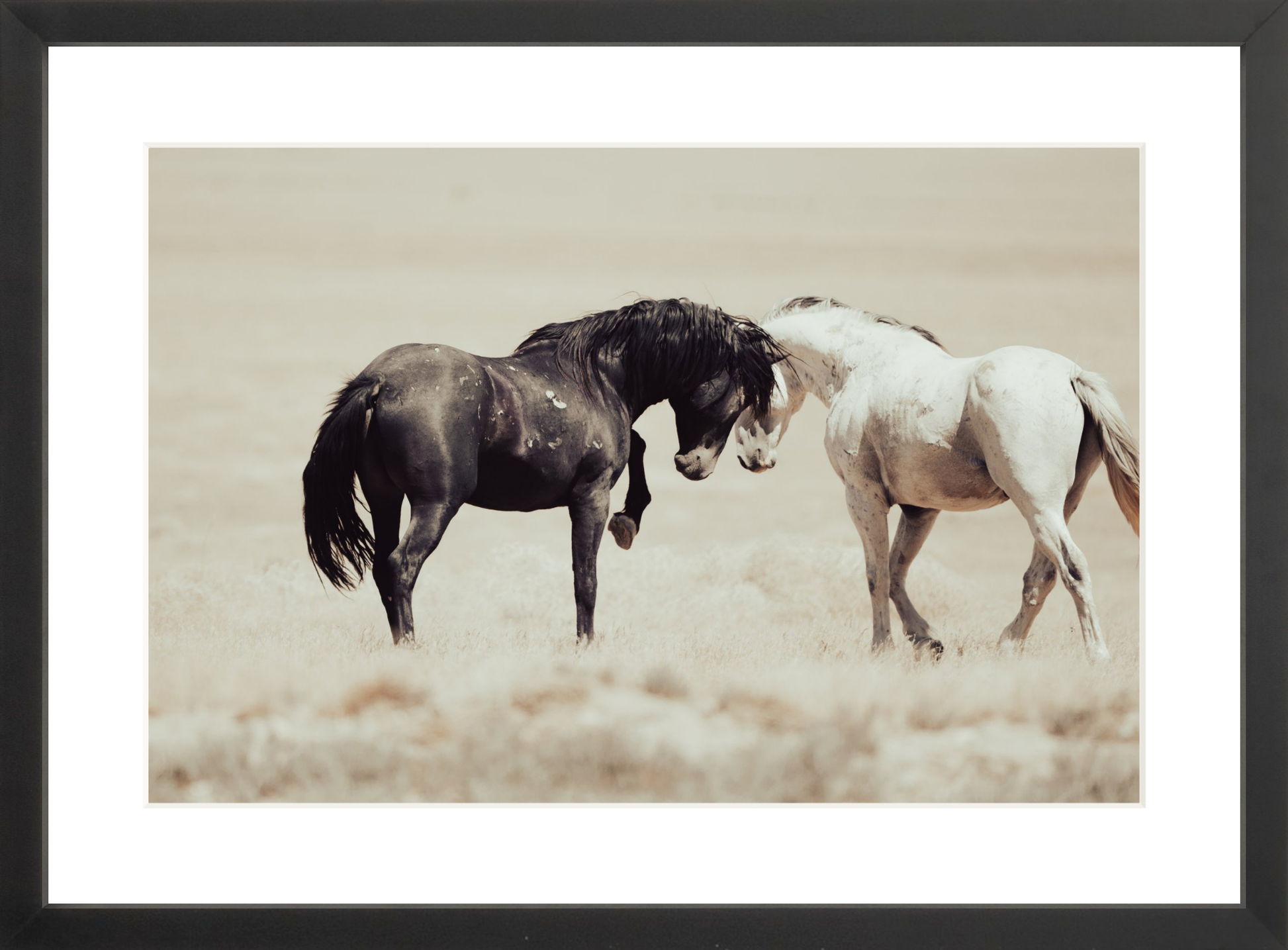 18"x12" / Black / Border