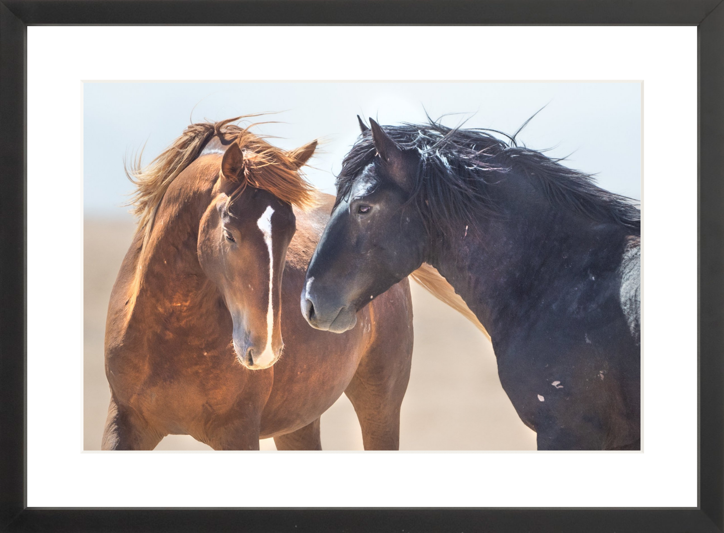 18"x12" / Black / Border