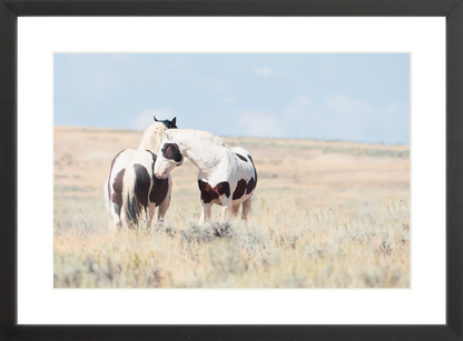 18"x12" / Black / Border