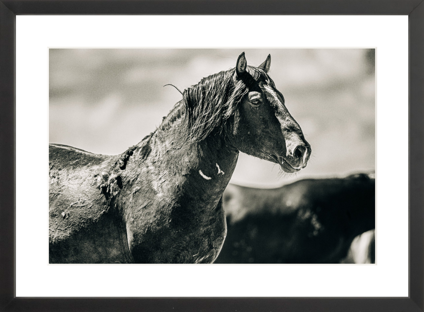 18"x12" / Black / Border