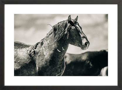 18"x12" / Black / Border