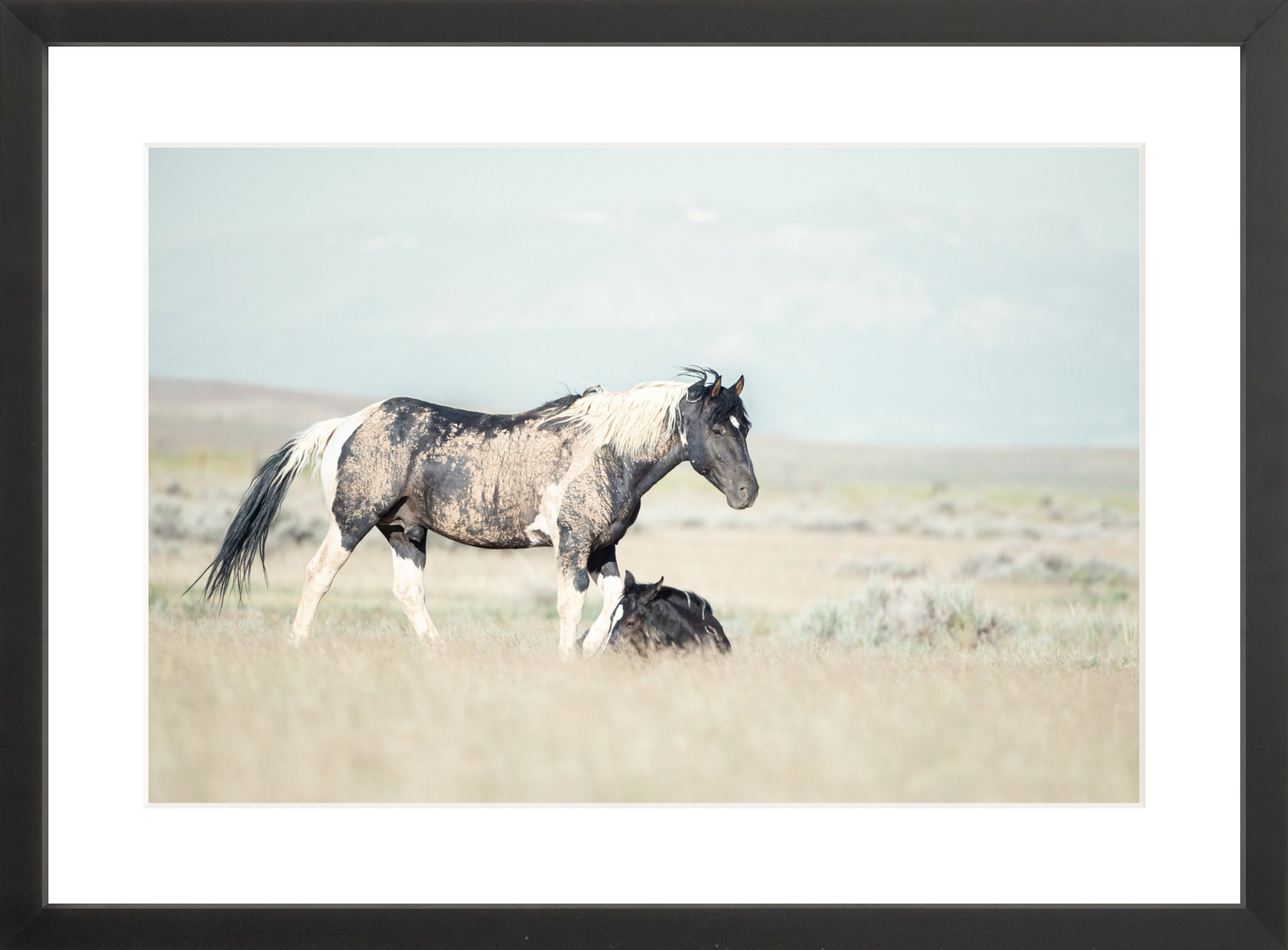 18"x12" / Black / Border