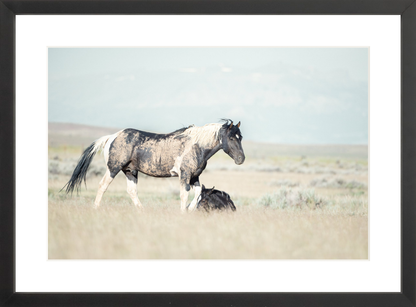 18"x12" / Black / Border