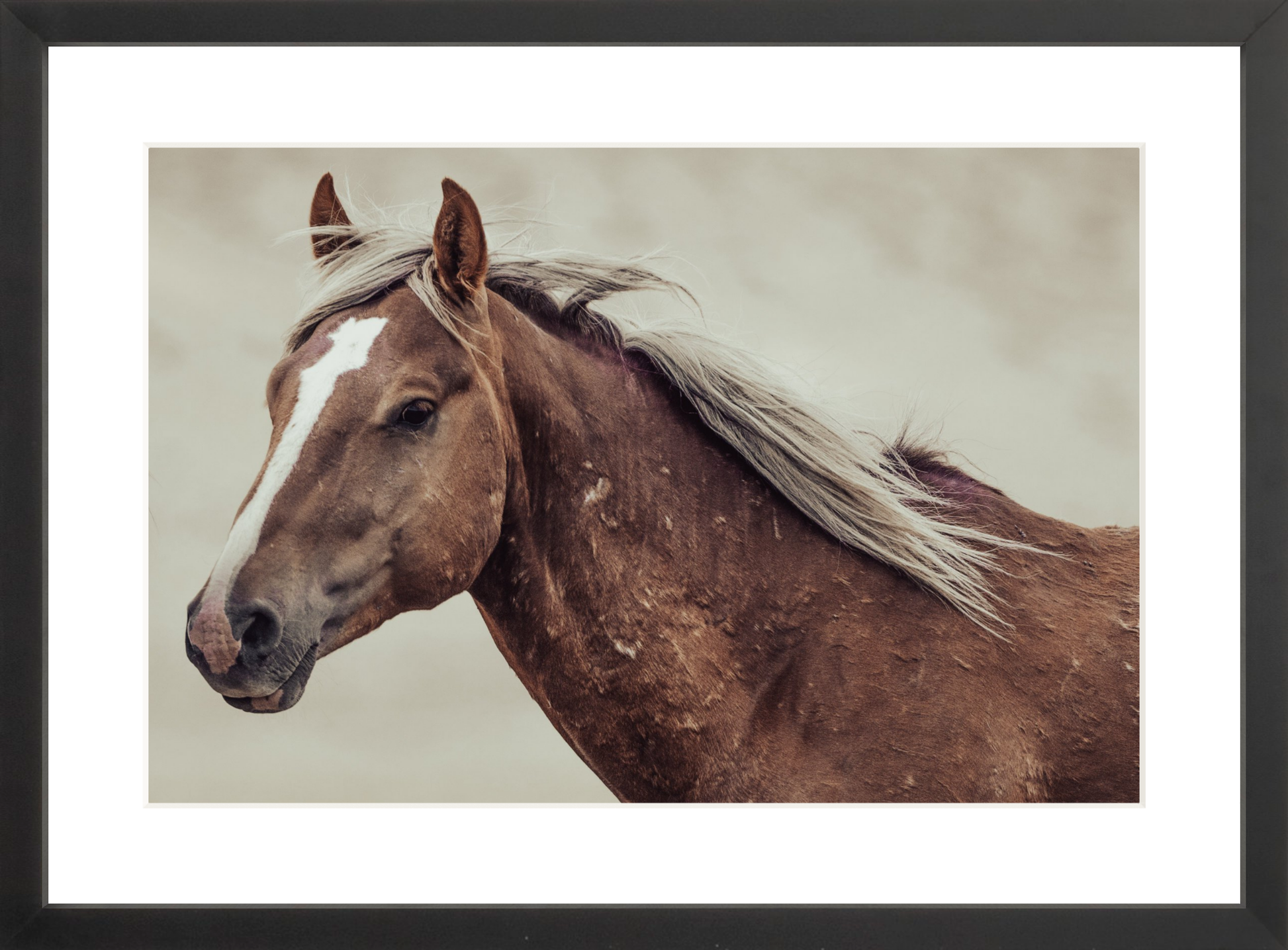 18"x12" / Black / Border