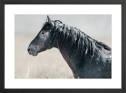 18"x12" / Black / Border