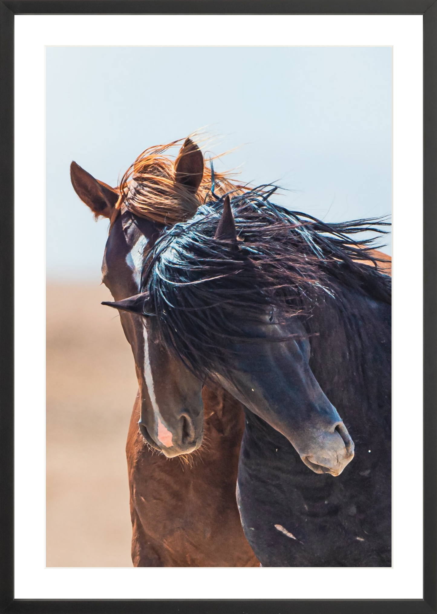 20"x30" / Black / Border
