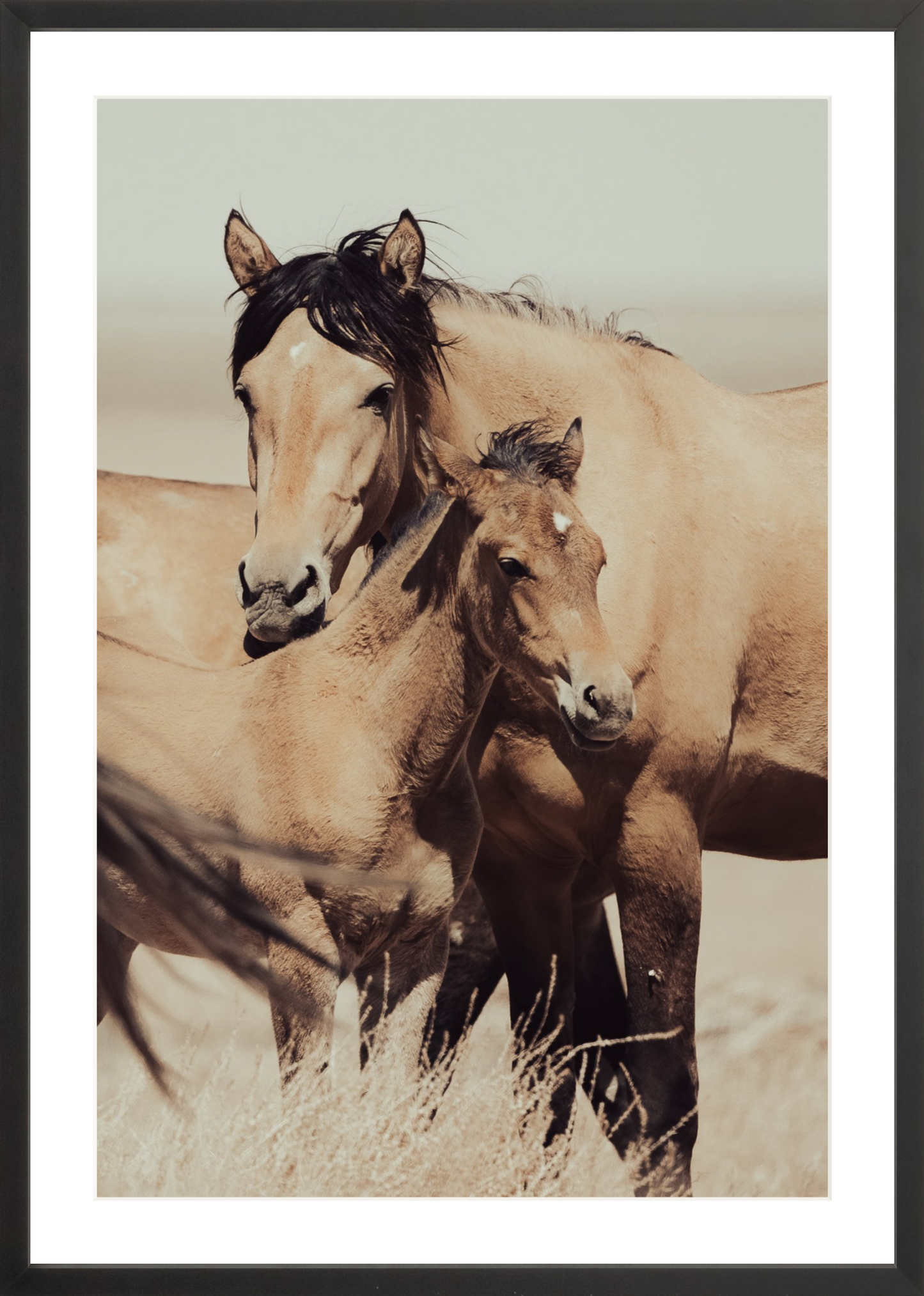 20"x30" / Black / Border