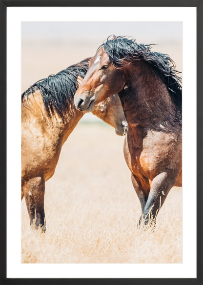 20"x30" / Black / Border