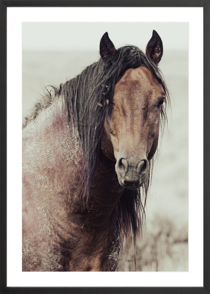 20"x30" / Black / Border