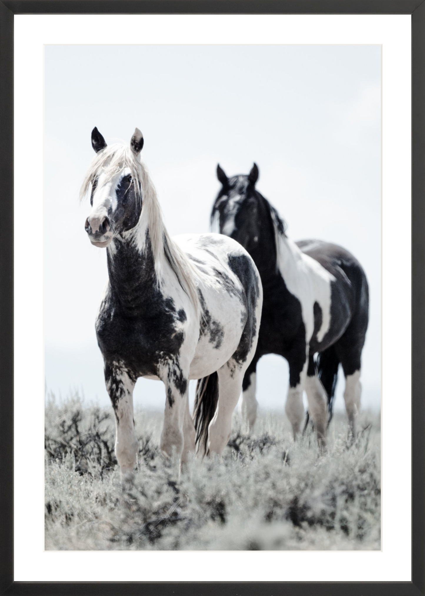 20"x30" / Black / Border