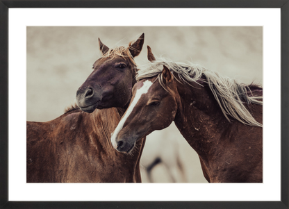 24"x16" / Black / Border