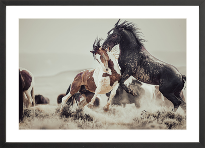 24"x16" / Black / Border