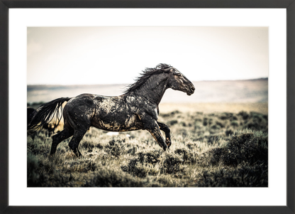 24"x16" / Black / Border