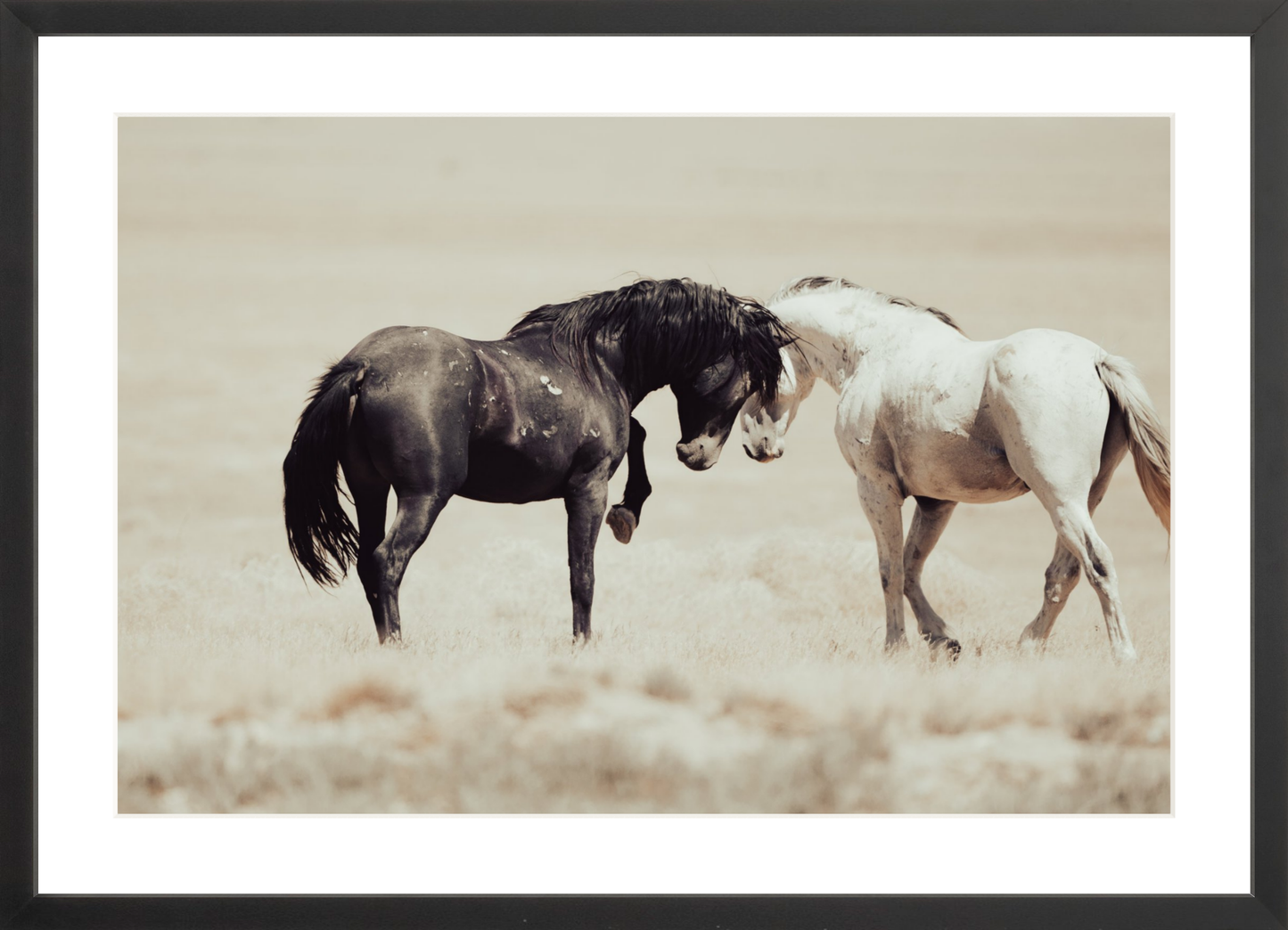24"x16" / Black / Border