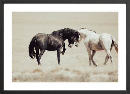 24"x16" / Black / Border