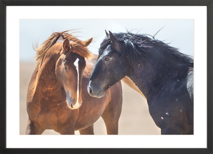 24"x16" / Black / Border