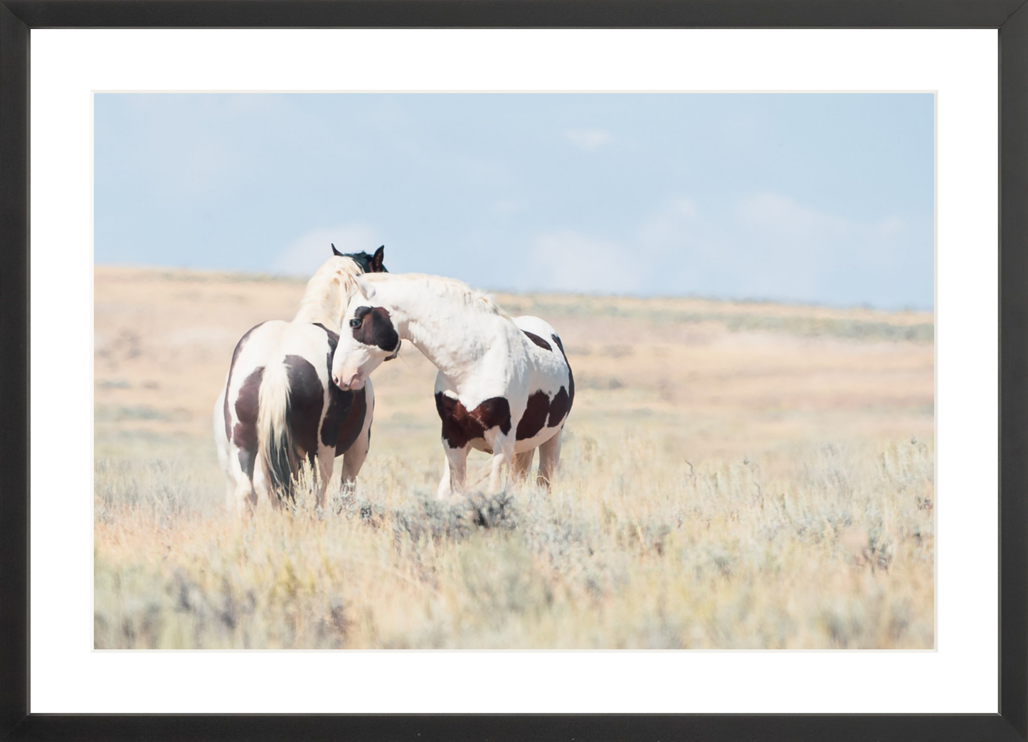 24"x16" / Black / Border