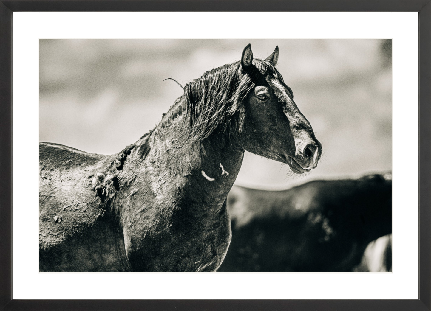 24"x16" / Black / Border