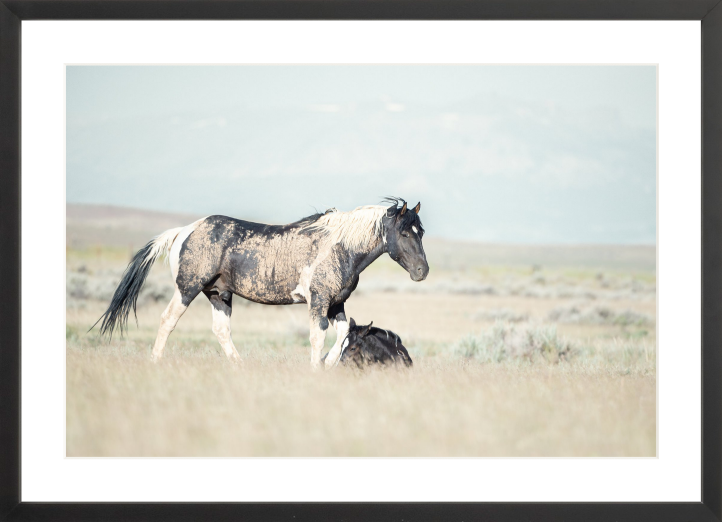 24"x16" / Black / Border