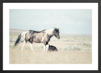 24"x16" / Black / Border