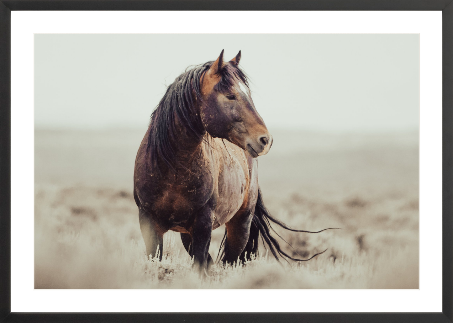30"x20" / Black / Border