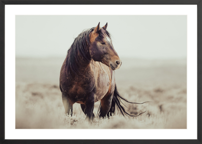 30"x20" / Black / Border