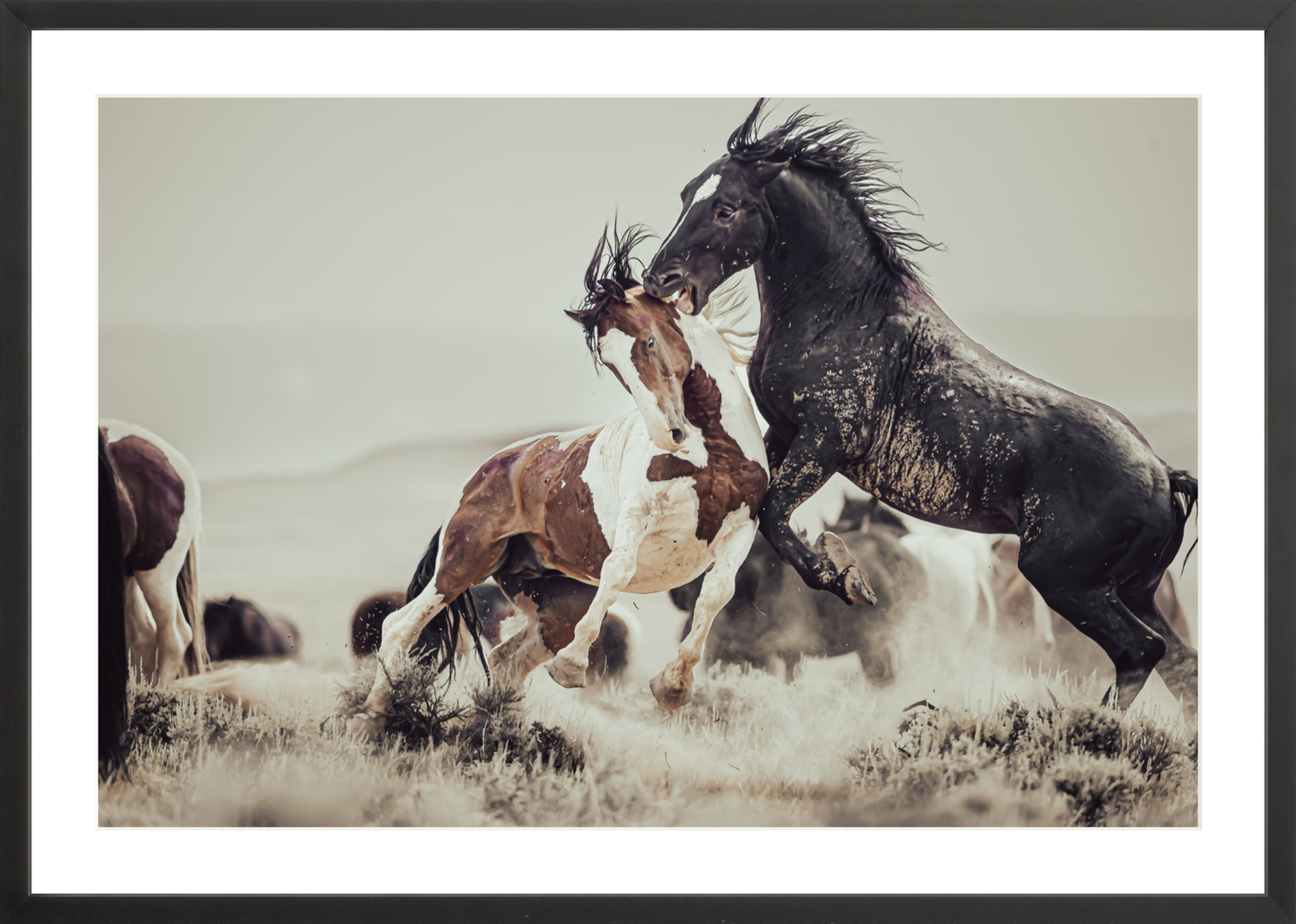 30"x20" / Black / Border