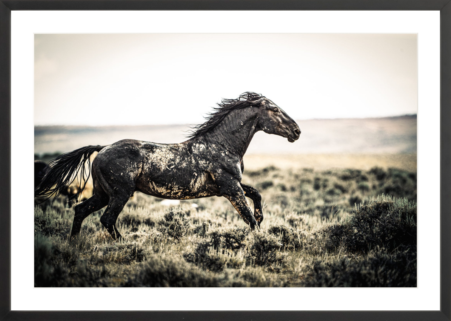 30"x20" / Black / Border